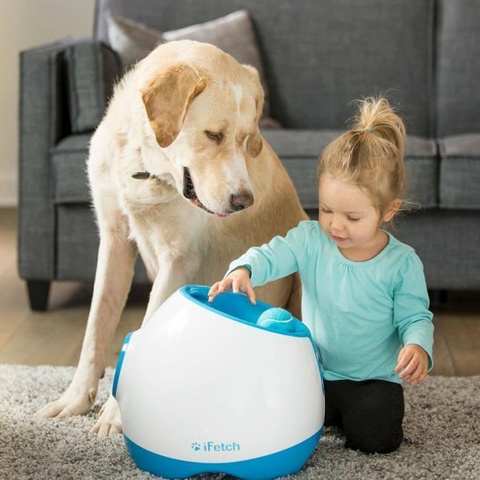 iFetch Interaction Dog Ball LAUNCHER | Stay At Home Mum