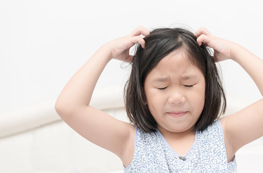 How to Treat Head Lice at Home | Stay at Home Mum