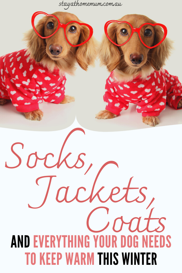 Socks Jackets Coats and Everything Your Dog Needs To Keep Warm This Winter | Stay at Home Mum.com.au