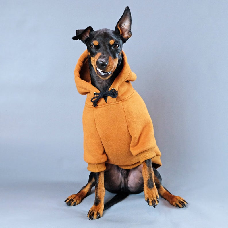 Socks, Jackets, Sweaters and Everything Your Dog Needs To Keep Warm This Winter