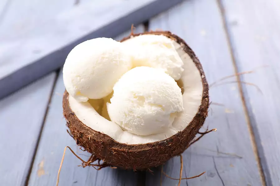 Vegan Coconut Ice Cream