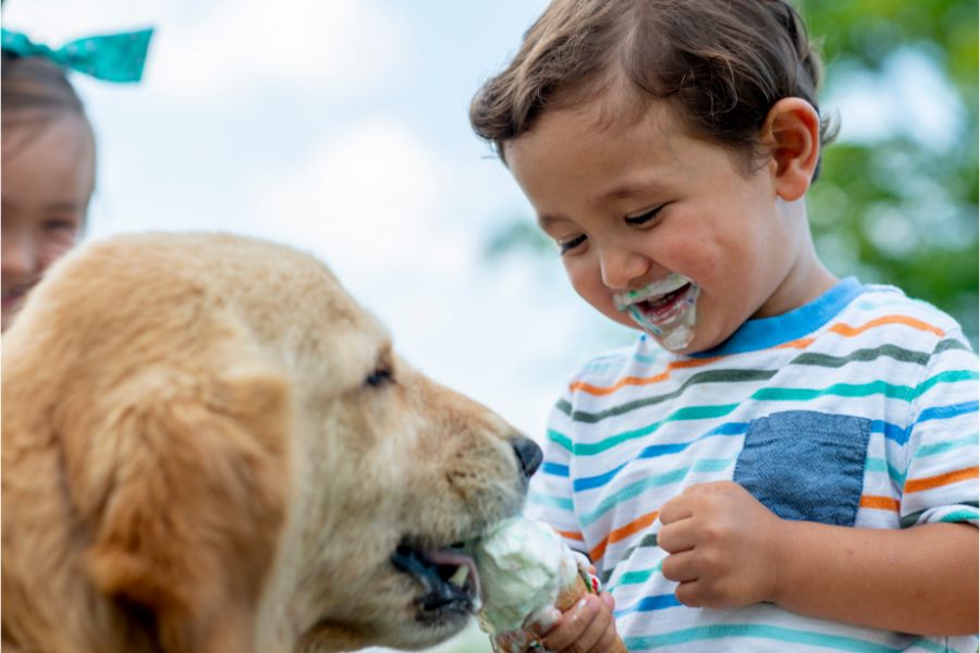 dog ice cream | Stay at Home Mum.com.au