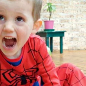 New Person of Interest in William Tyrrell Case