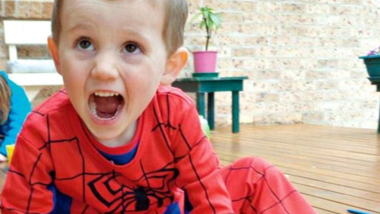 New Person of Interest in William Tyrrell Case