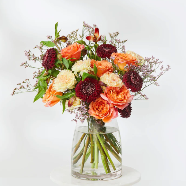 The Frejya Bold and Beautiful Bouquet Send Fresher Flowers – Floraly | Stay at Home Mum.com.au