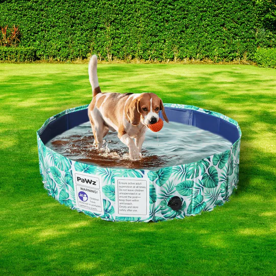 pawz 100cm portable dog swimming pool | Stay at Home Mum.com.au