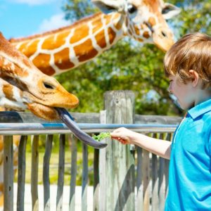 5 Things To Do With Kids In Sydney