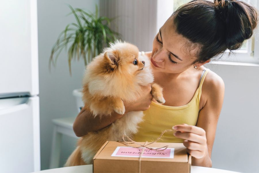 pet dog | Stay at Home Mum.com.au