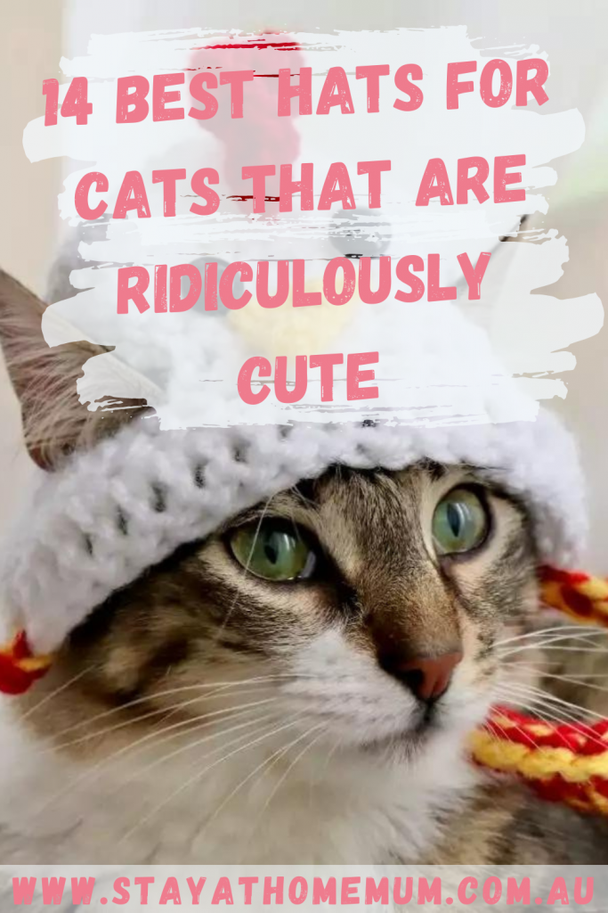14 Best Hats For Cats That Are Ridiculously Cute | Stay at Home Mum.com.au