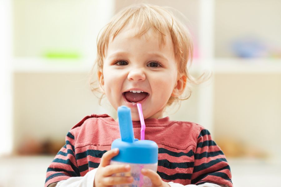 Looking After The Nutritional Needs Of Busy Little Toddlers On The Go