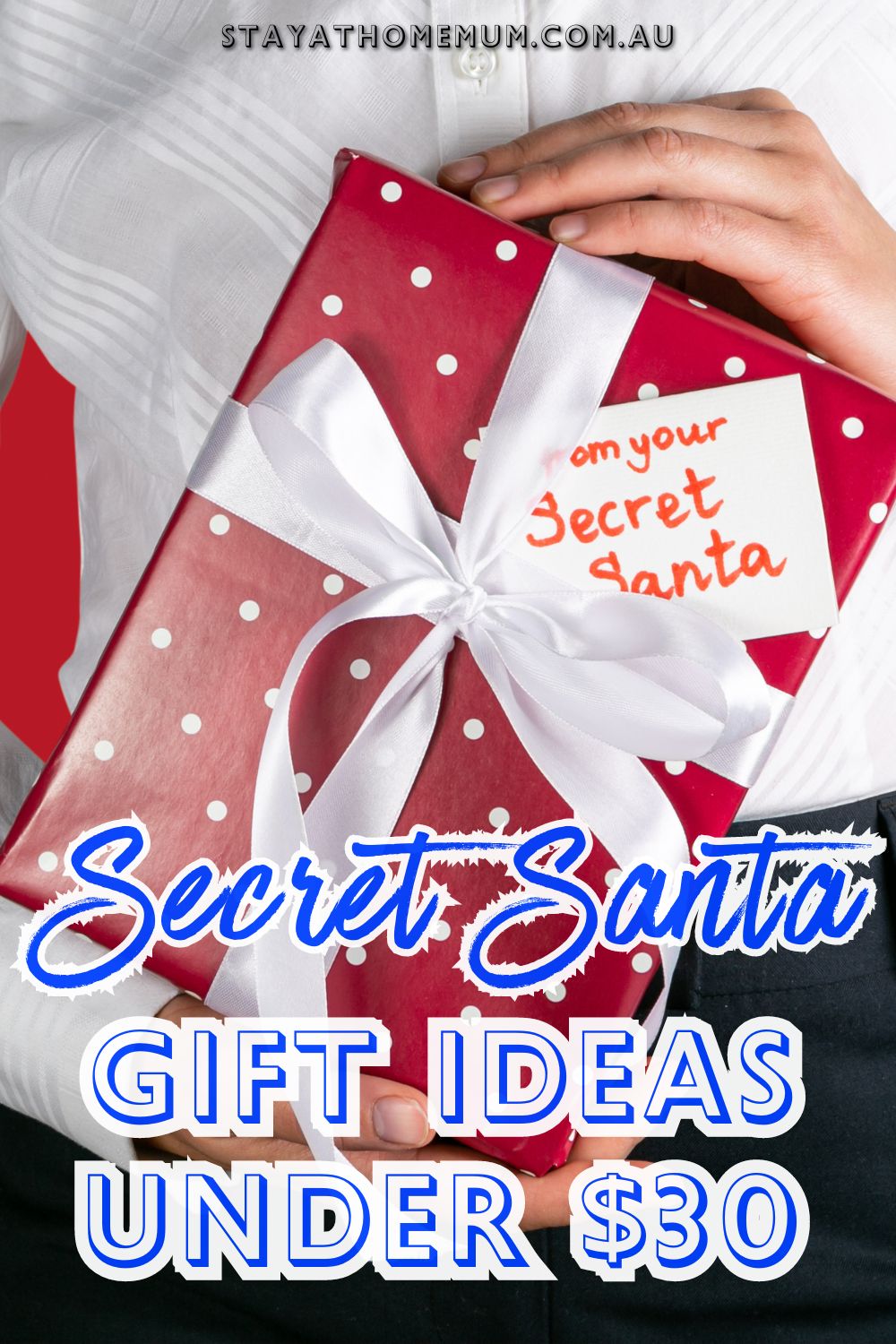 Secret Santa Gift Ideas Under $30 Pinnable