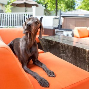 Transform Your Backyard with These Top-Rated Outdoor Living Space Materials